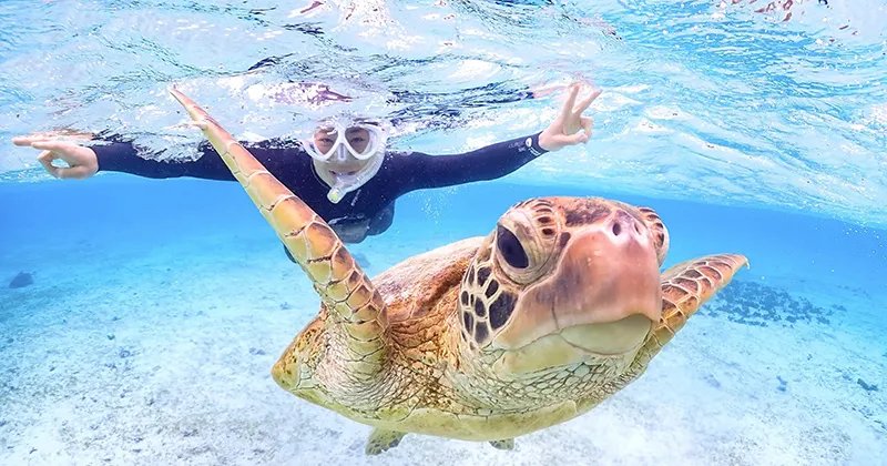 🏖️ 시기라 해변 (シギラビーチ)